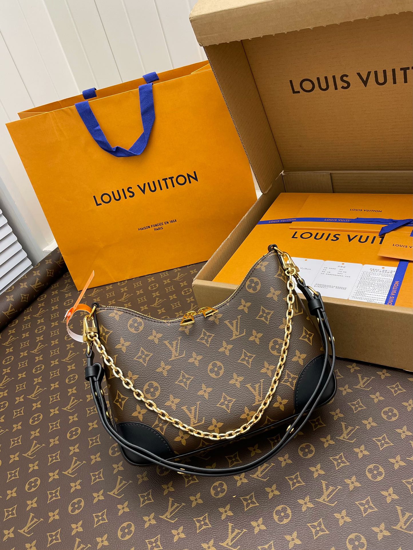 LV Hobo Bags